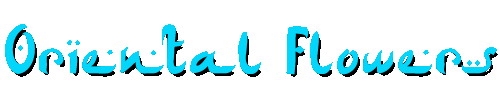 Oriental Flowers